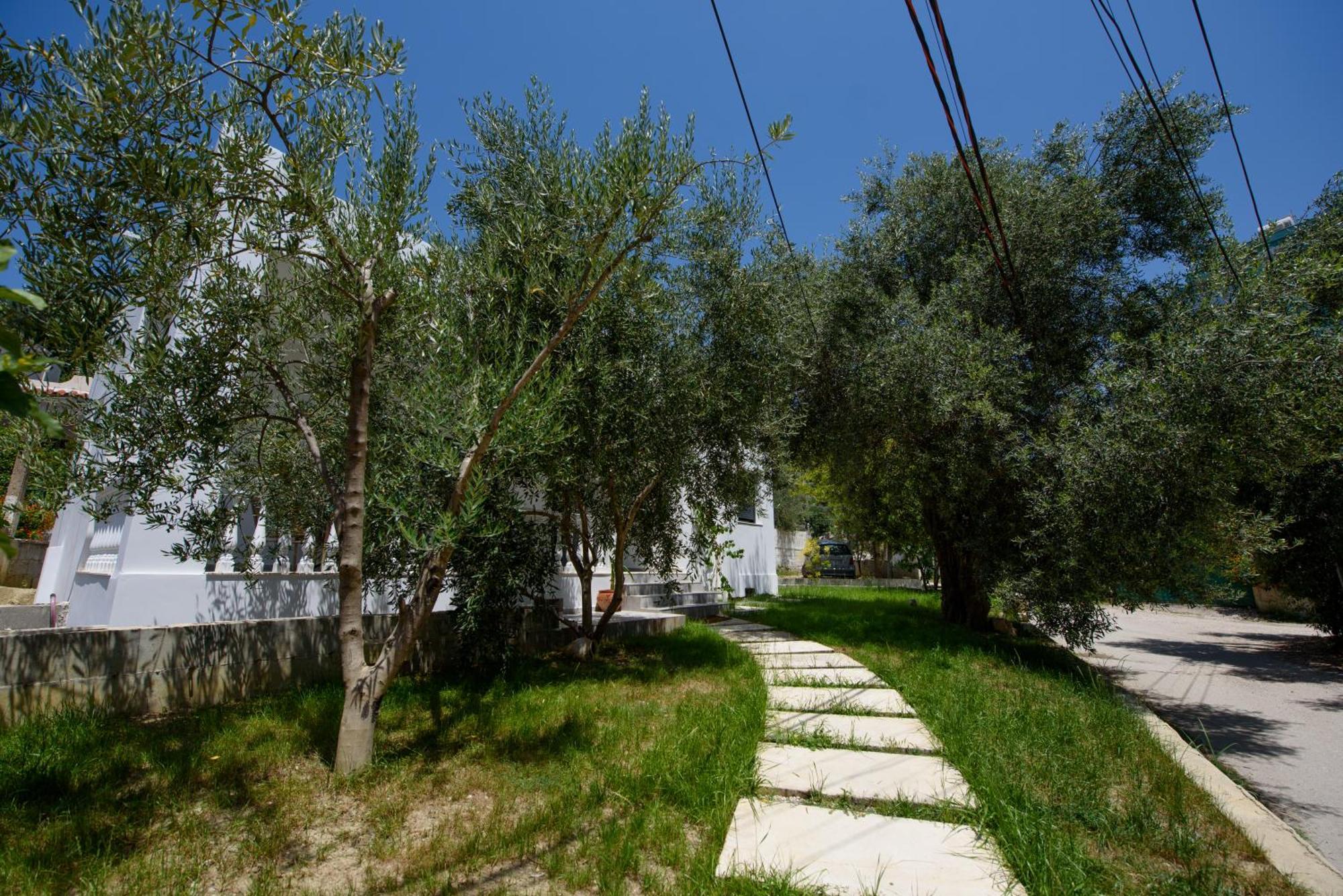 Olivium Rooms Vlora Kültér fotó
